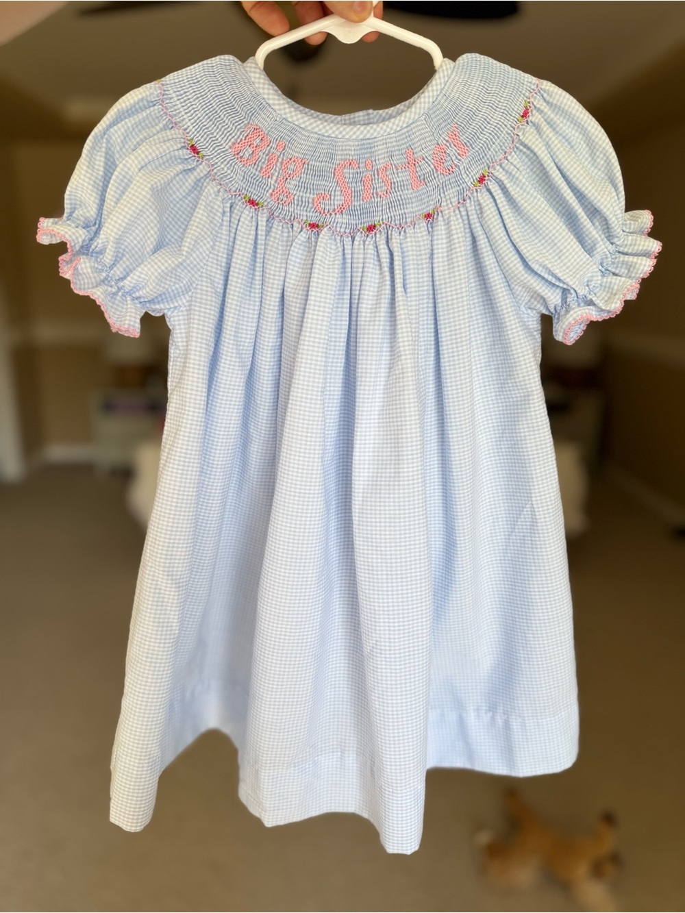 Vive La Fete Big Sister Smocked Light Blue Check Bishop Dress 24mo
